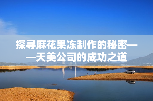 探寻麻花果冻制作的秘密——天美公司的成功之道
