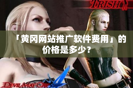 「黄冈网站推广软件费用」的价格是多少？