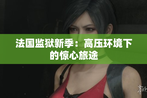 法国监狱新季：高压环境下的惊心旅途