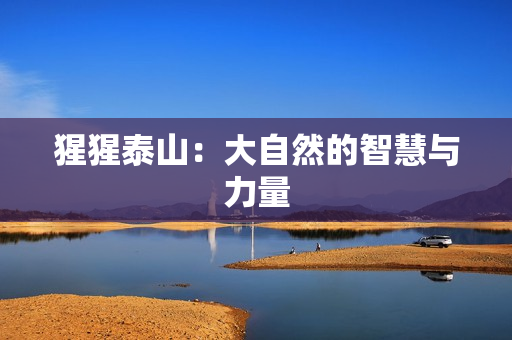 猩猩泰山：大自然的智慧与力量