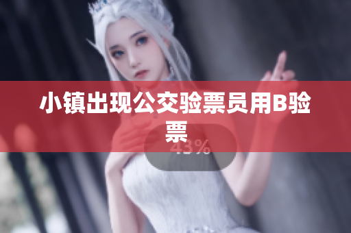 小镇出现公交验票员用B验票