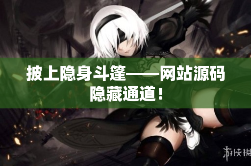 披上隐身斗篷——网站源码隐藏通道！