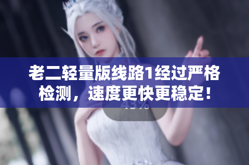 老二轻量版线路1经过严格检测，速度更快更稳定！