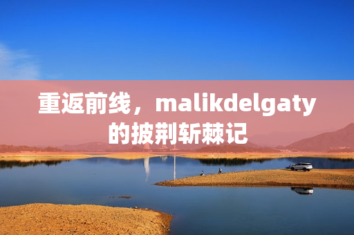 重返前线，malikdelgaty的披荆斩棘记