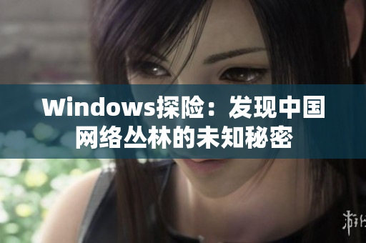Windows探险：发现中国网络丛林的未知秘密
