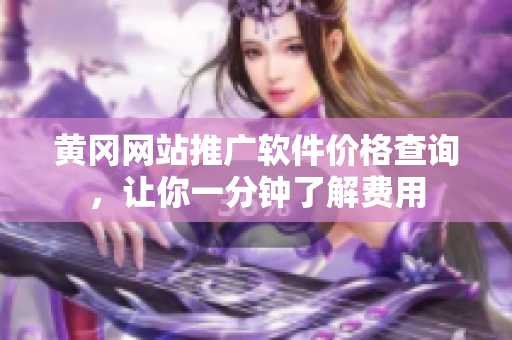 黄冈网站推广软件价格查询，让你一分钟了解费用