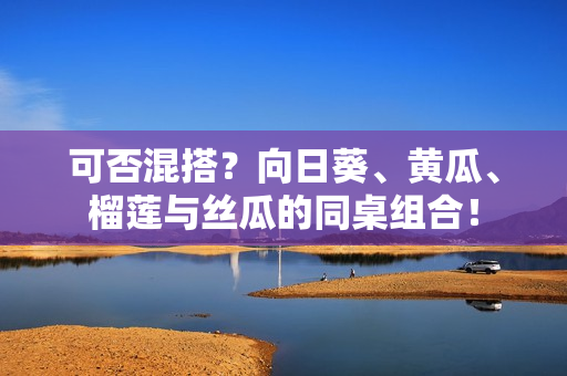 可否混搭？向日葵、黄瓜、榴莲与丝瓜的同桌组合！