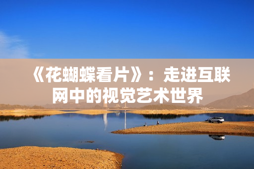 《花蝴蝶看片》：走进互联网中的视觉艺术世界
