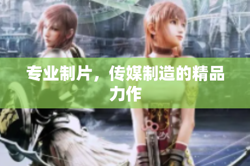 专业制片，传媒制造的精品力作