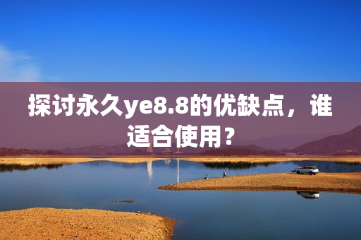 探讨永久ye8.8的优缺点，谁适合使用？