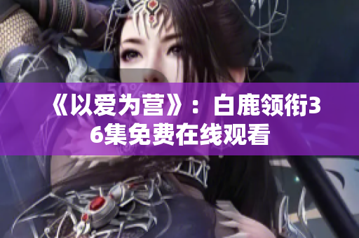 《以爱为营》：白鹿领衔36集免费在线观看