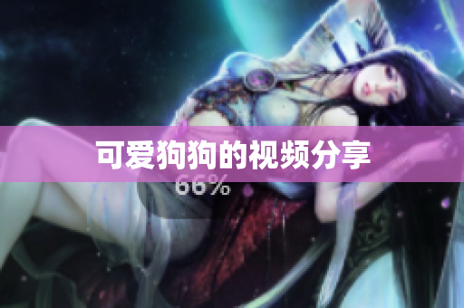 可爱狗狗的视频分享