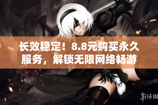 长效稳定！8.8元购买永久服务，解锁无限网络畅游