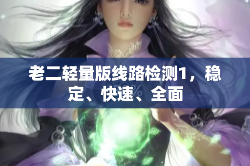 老二轻量版线路检测1，稳定、快速、全面