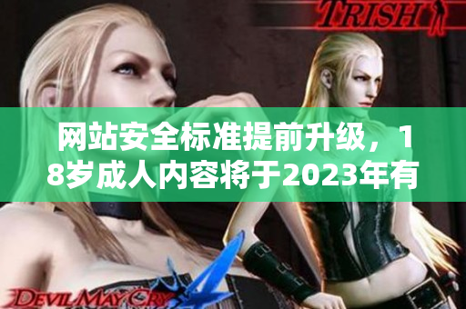 网站安全标准提前升级，18岁成人内容将于2023年有新规