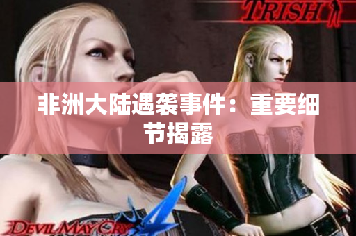 非洲大陆遇袭事件：重要细节揭露
