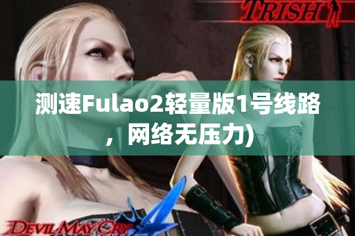 测速Fulao2轻量版1号线路，网络无压力)