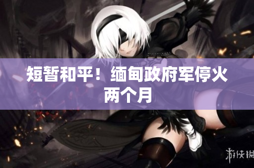 短暂和平！缅甸政府军停火两个月