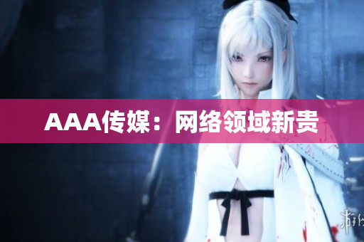 AAA传媒：网络领域新贵