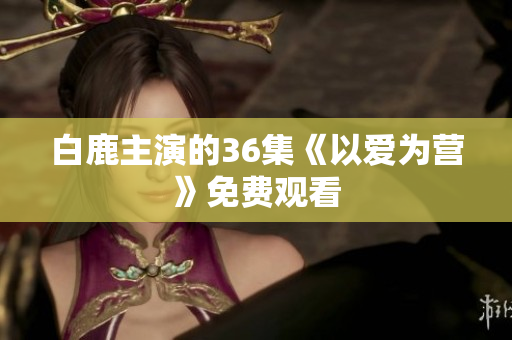 白鹿主演的36集《以爱为营》免费观看