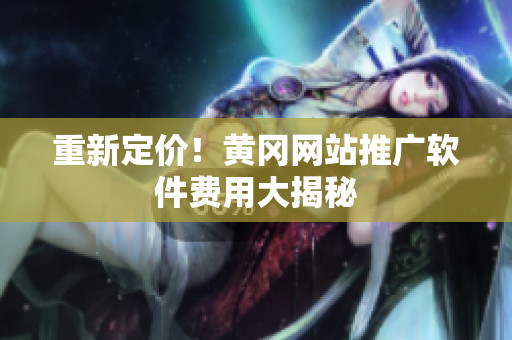 重新定价！黄冈网站推广软件费用大揭秘