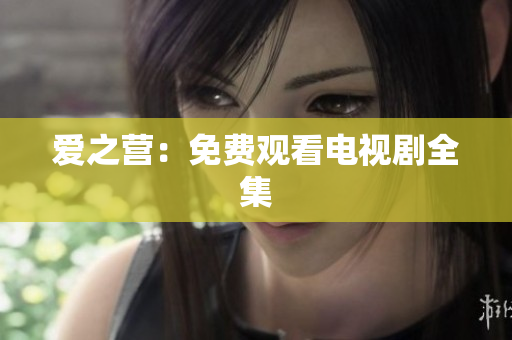 爱之营：免费观看电视剧全集