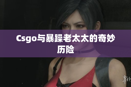 Csgo与暴躁老太太的奇妙历险