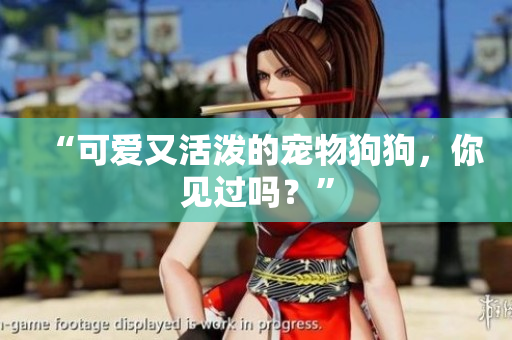 “可爱又活泼的宠物狗狗，你见过吗？”