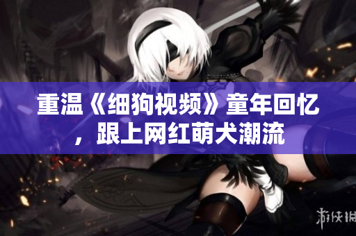 重温《细狗视频》童年回忆，跟上网红萌犬潮流
