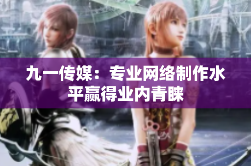 九一传媒：专业网络制作水平赢得业内青睐