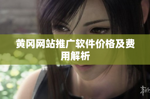 黄冈网站推广软件价格及费用解析