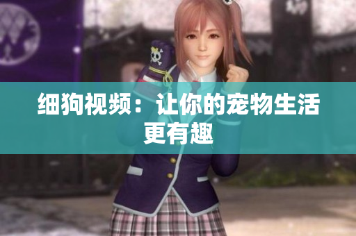 细狗视频：让你的宠物生活更有趣