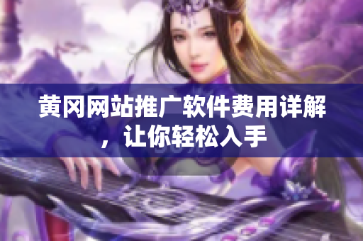 黄冈网站推广软件费用详解，让你轻松入手