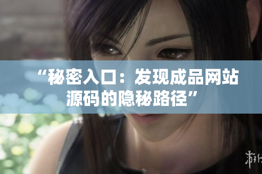 “秘密入口：发现成品网站源码的隐秘路径”