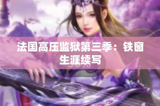 法国高压监狱第三季：铁窗生涯续写