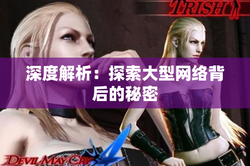 深度解析：探索大型网络背后的秘密