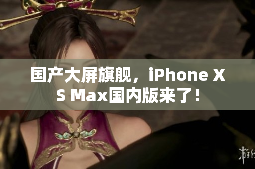 国产大屏旗舰，iPhone XS Max国内版来了！