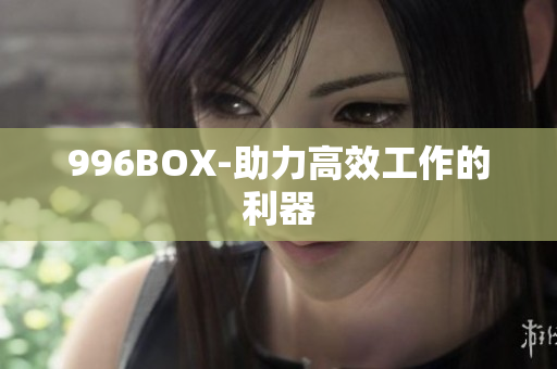 996BOX-助力高效工作的利器