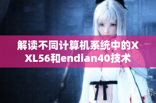解读不同计算机系统中的XXL56和endian40技术