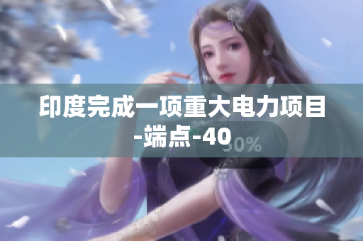印度完成一项重大电力项目-端点-40