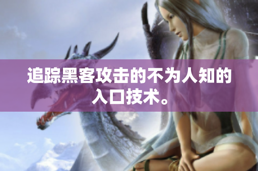 追踪黑客攻击的不为人知的入口技术。