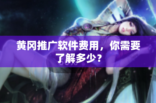 黄冈推广软件费用，你需要了解多少？