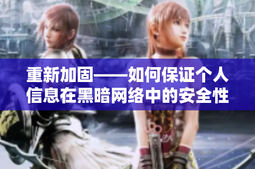 重新加固——如何保证个人信息在黑暗网络中的安全性？