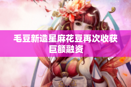 毛豆新造星麻花豆再次收获巨额融资
