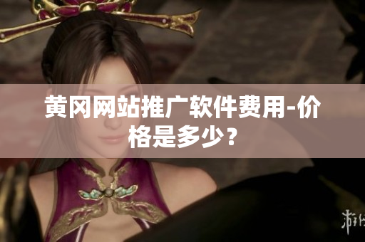 黄冈网站推广软件费用-价格是多少？