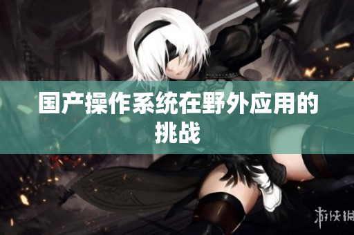 国产操作系统在野外应用的挑战