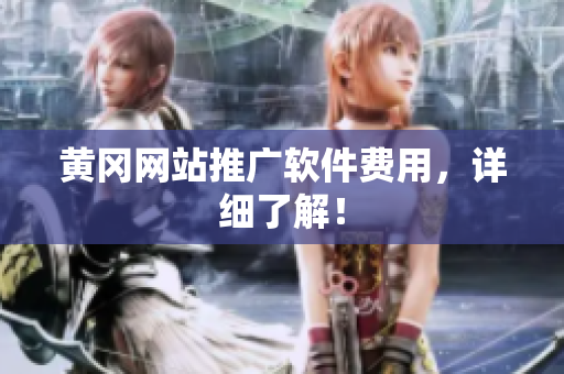 黄冈网站推广软件费用，详细了解！