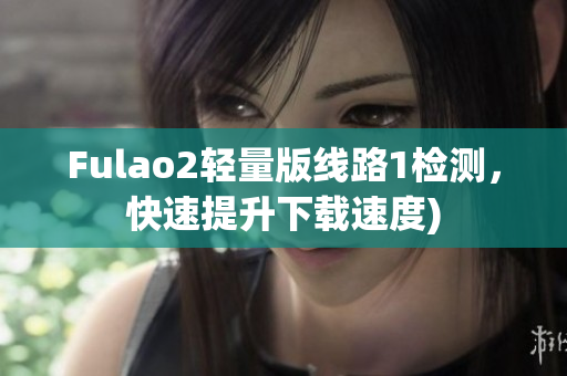 Fulao2轻量版线路1检测，快速提升下载速度)
