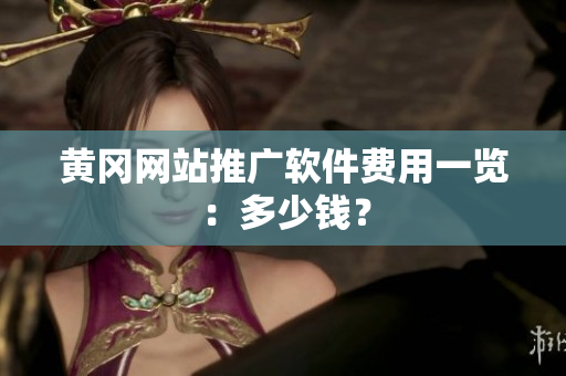 黄冈网站推广软件费用一览：多少钱？