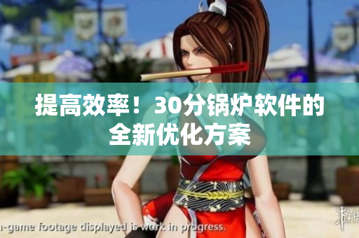 提高效率！30分锅炉软件的全新优化方案